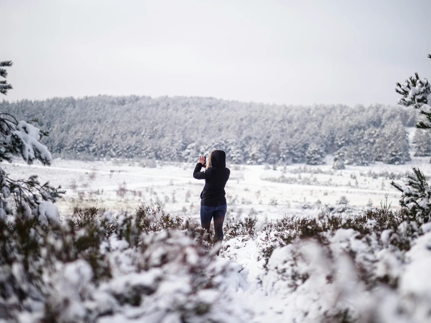How to Make Stunning Nature Photos with Your iPhone