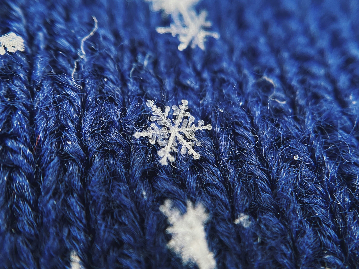 The Secret to Stunning Macro Photography on Your Mobile