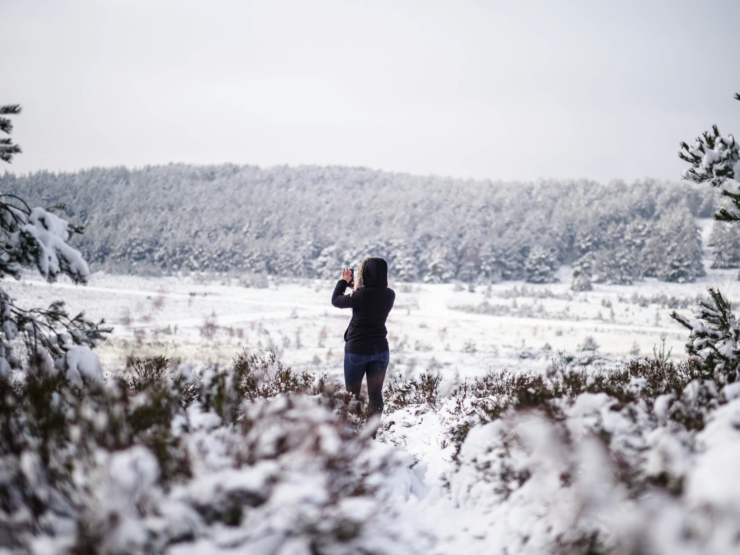 How to Make Stunning Nature Photos with Your iPhone
